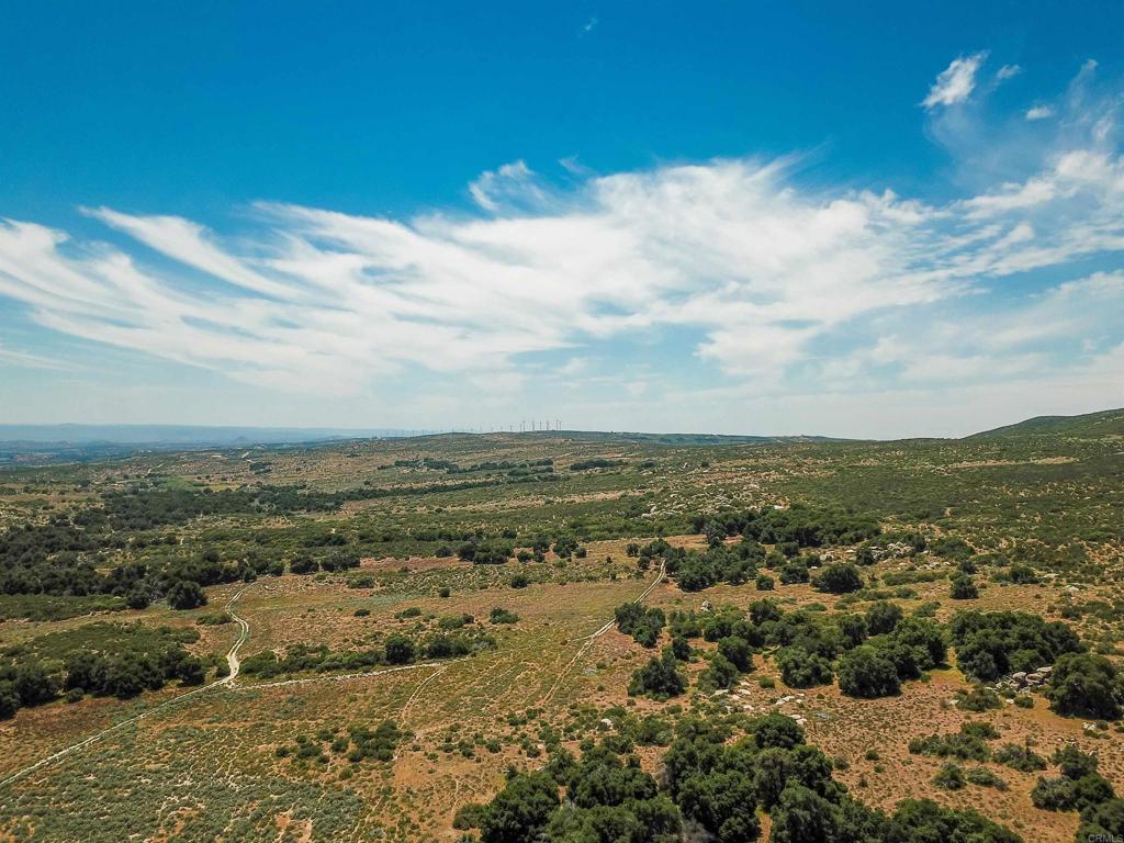160 Acres Canebrake Property Photo 19