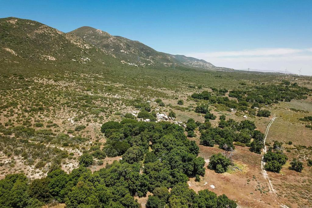 160 Acres Canebrake Property Photo 20