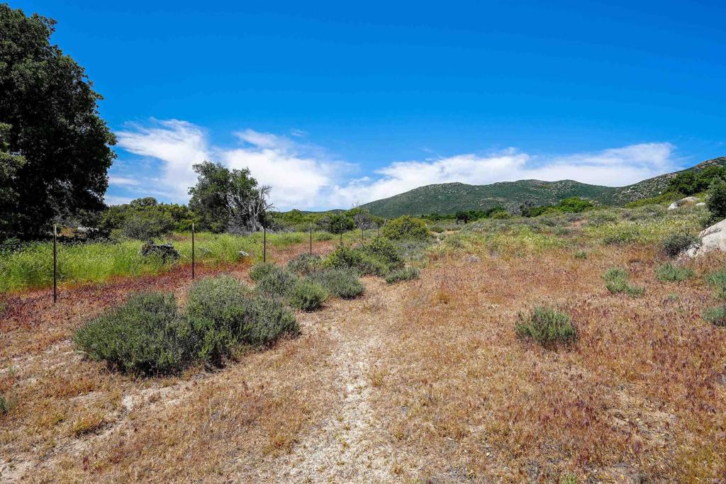 160 Acres Canebrake Property Photo 25