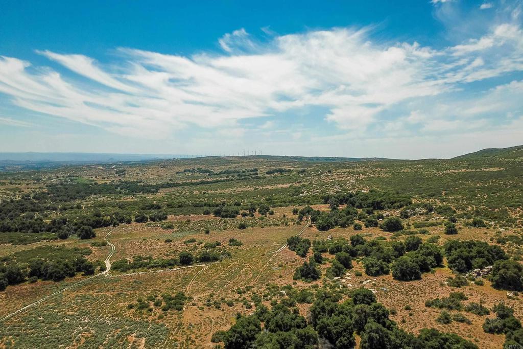 160 Acres Canebrake Property Photo 29