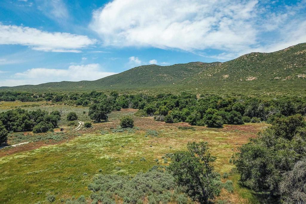 160 Acres Canebrake Property Photo 30