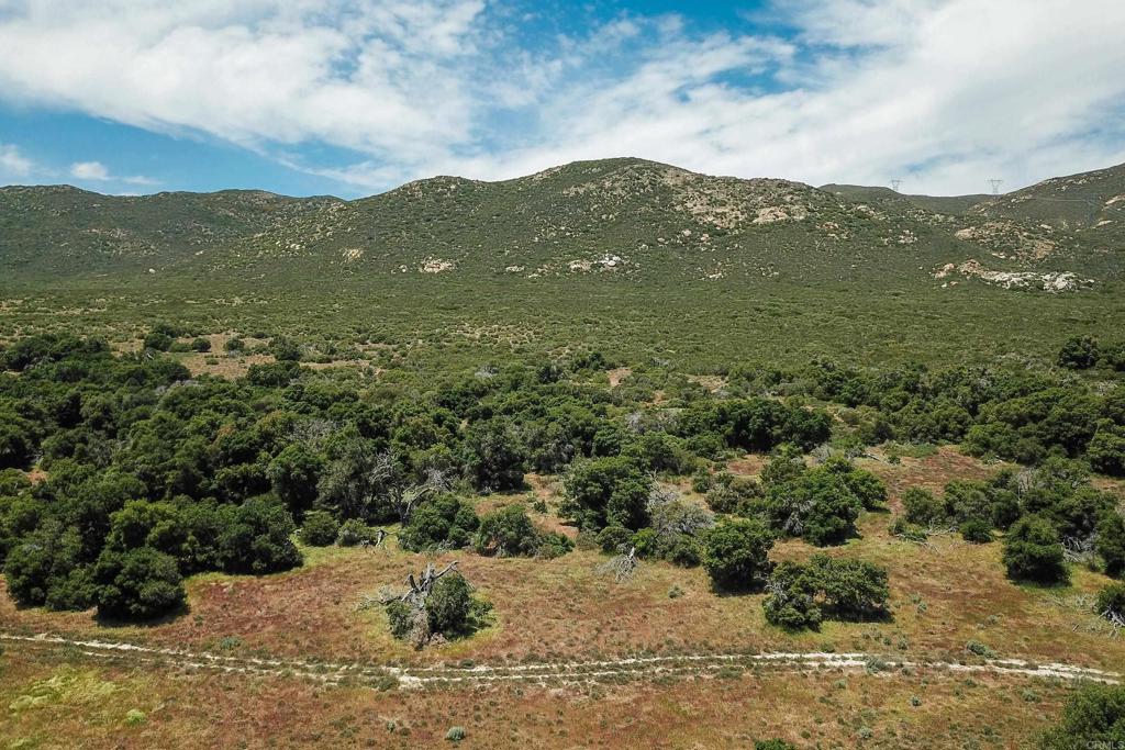 160 Acres Canebrake Property Photo 31