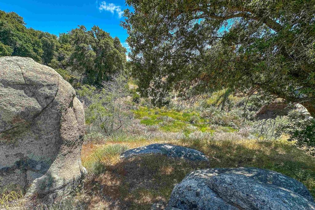 160 Acres Canebrake Property Photo 32