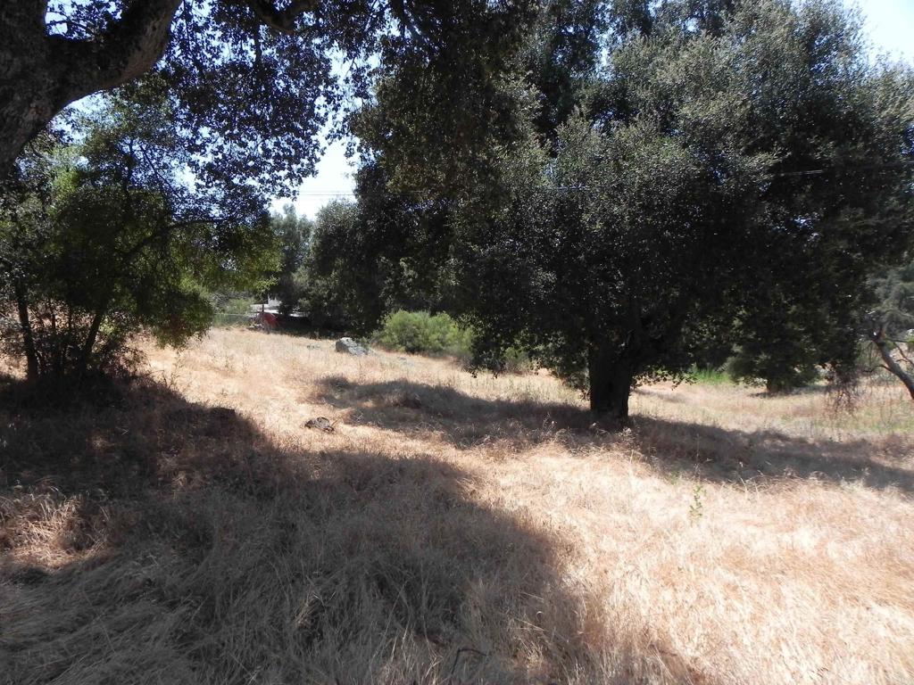 0 Arrowhead Trail Property Photo 3