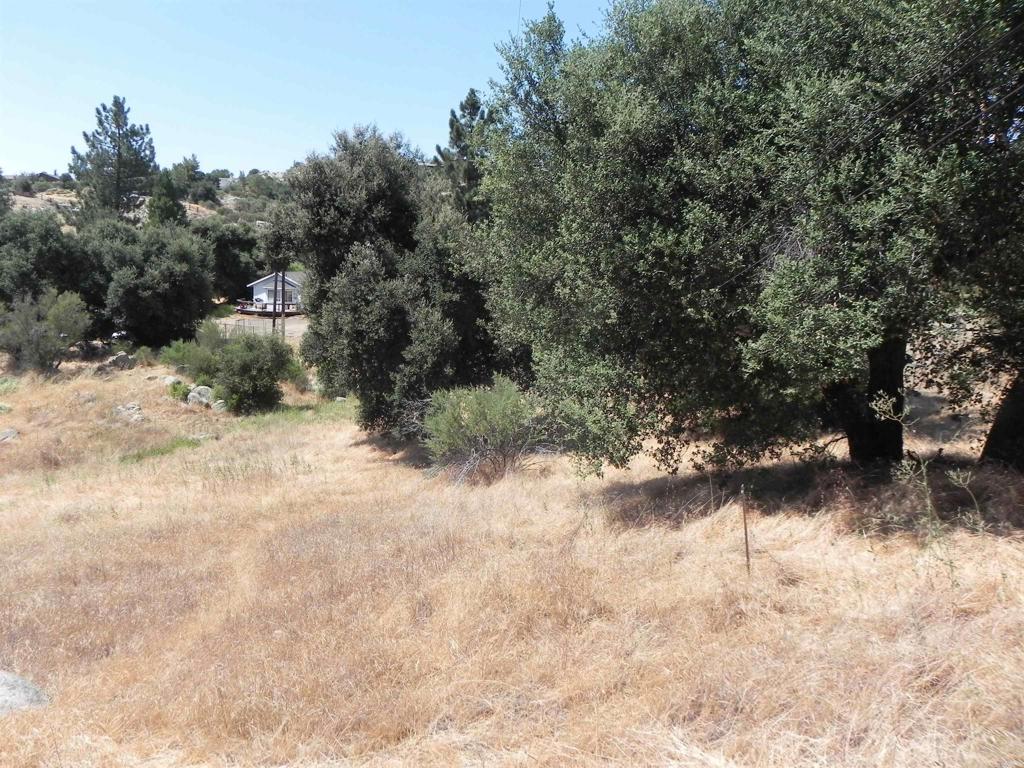 0 Arrowhead Trail Property Photo 5