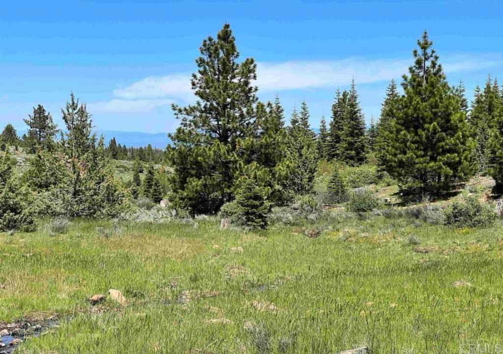 0 Glacier Dr Lot 13 Drive Property Photo 3