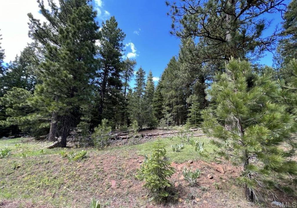0 Glacier Dr Lot 13 Drive Property Photo 6