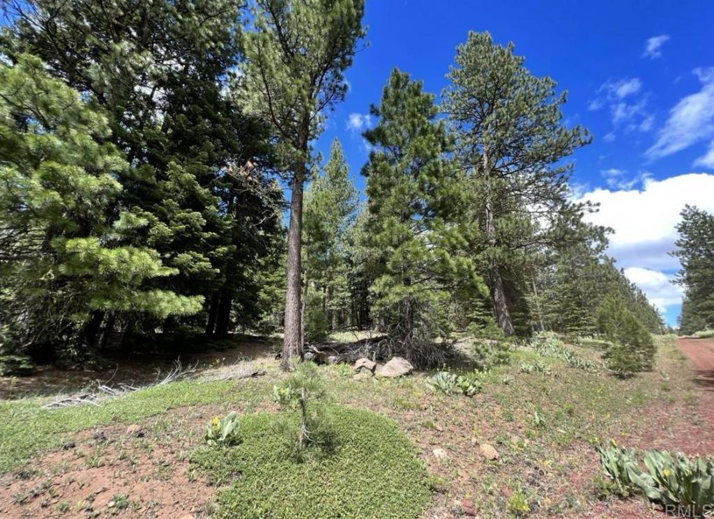0 Glacier Dr Lot 13 Drive Property Photo 7