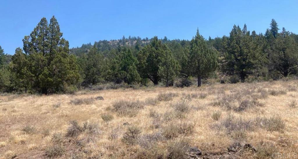 0 Glacier Dr Lot 12 Property Photo 2