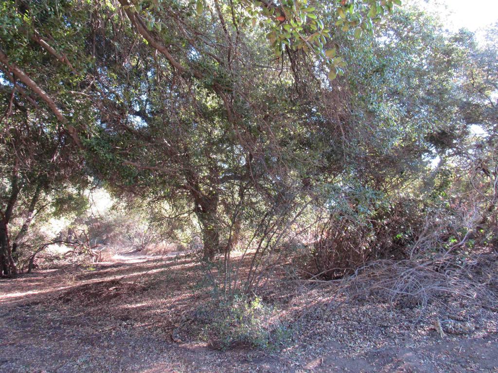2115 N Campo Truck Trail Property Photo 5