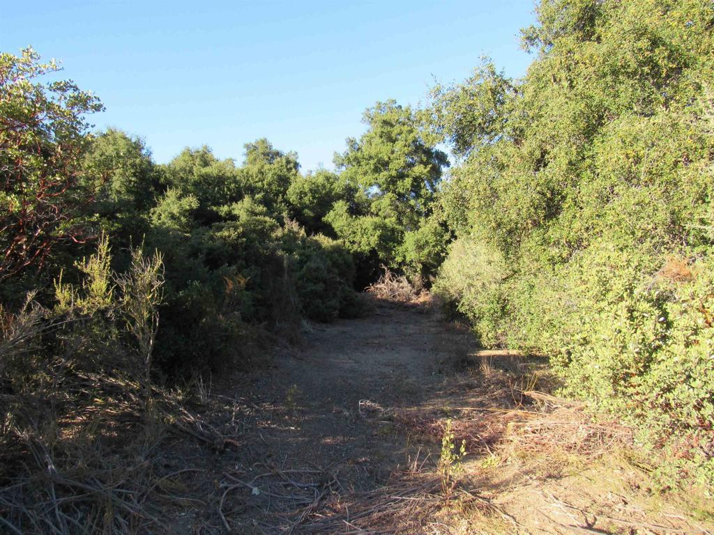 2115 N Campo Truck Trail Property Photo 6
