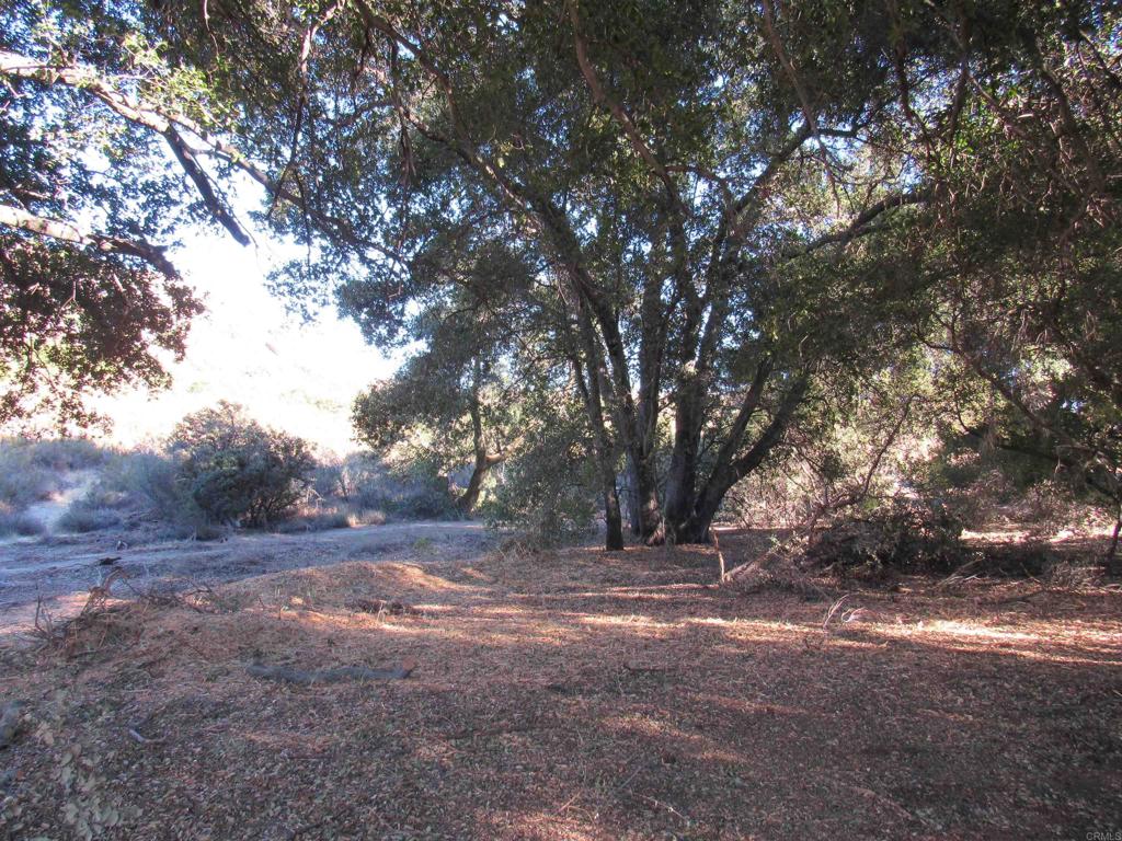 2115 N Campo Truck Trail Property Photo 8