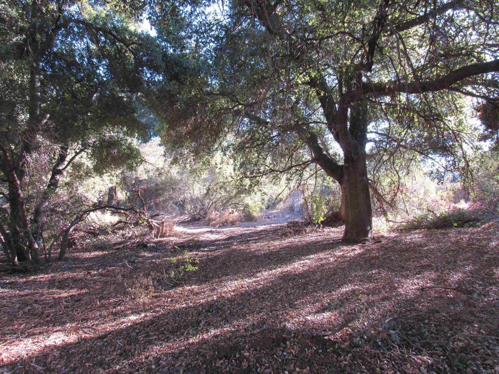 2115 N Campo Truck Trail Property Photo 9