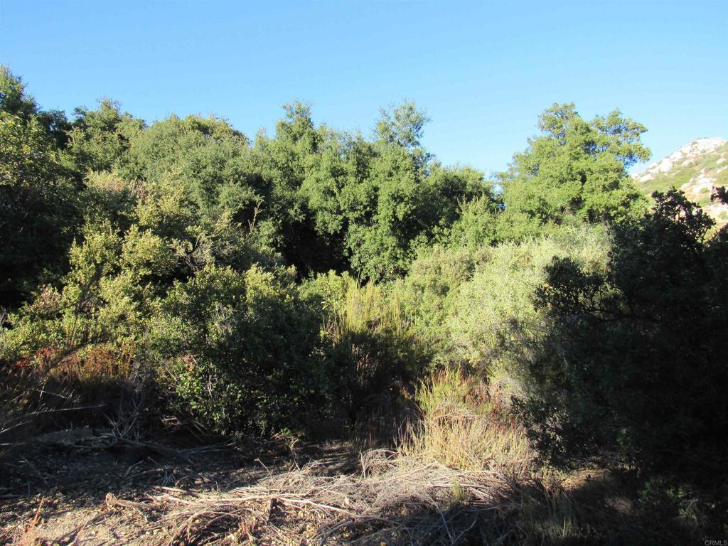2115 N Campo Truck Trail Property Photo 13