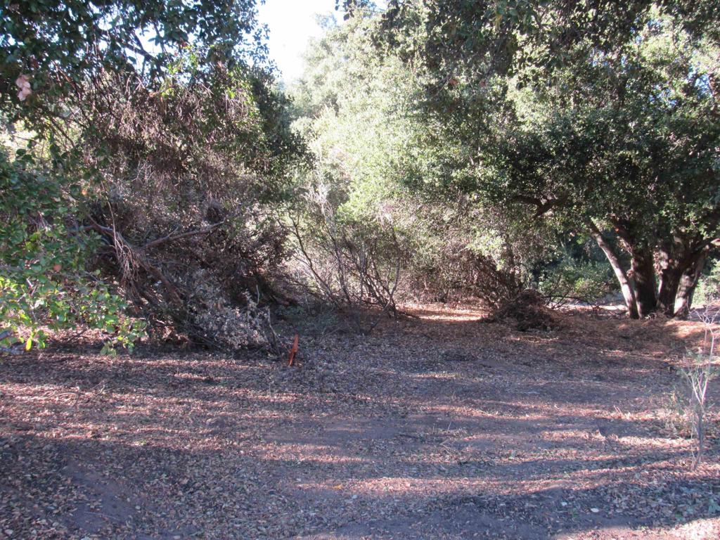 2115 N Campo Truck Trail Property Photo 18