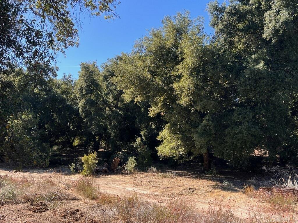 2115 N Campo Truck Trail Property Photo 19