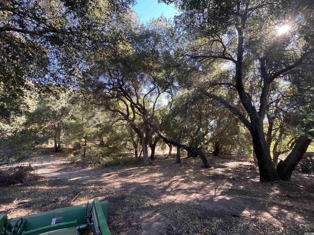 2115 N Campo Truck Trail Property Photo 20
