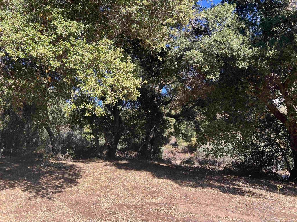 2115 N Campo Truck Trail Property Photo 23