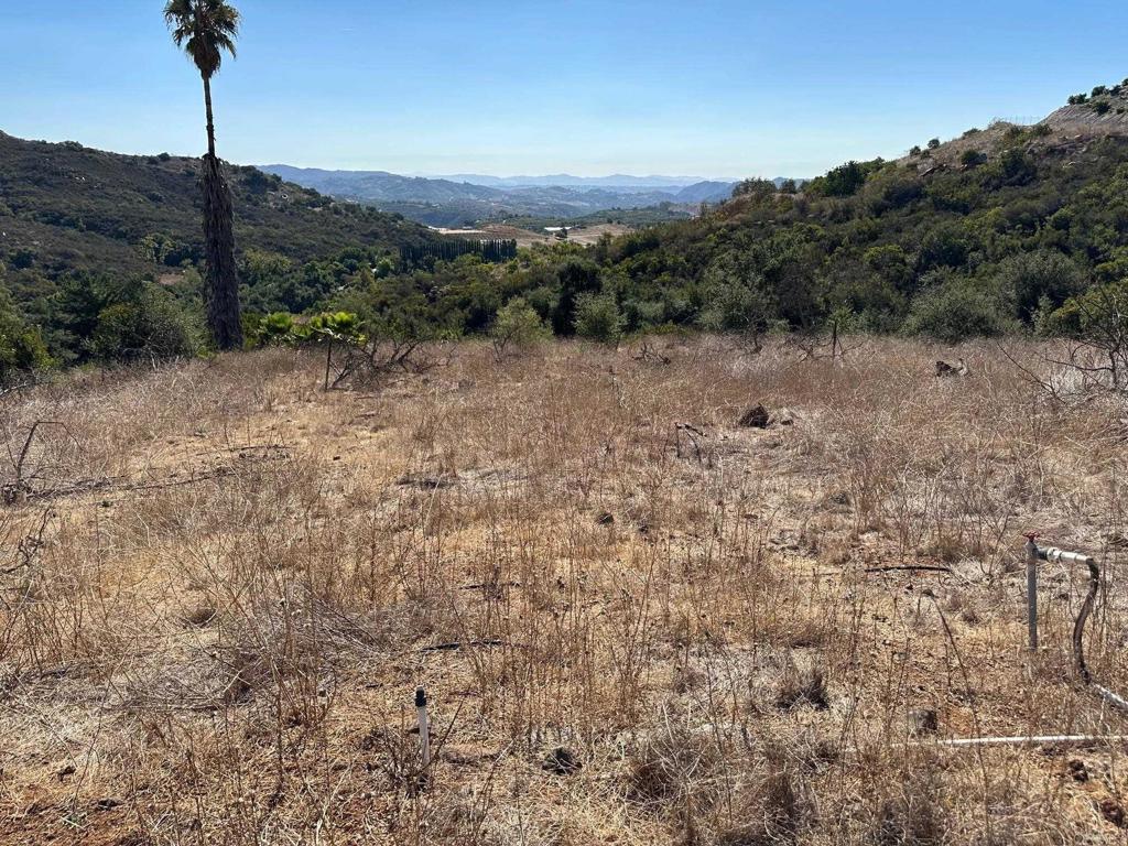 26 029 El Calamar Property Photo 2