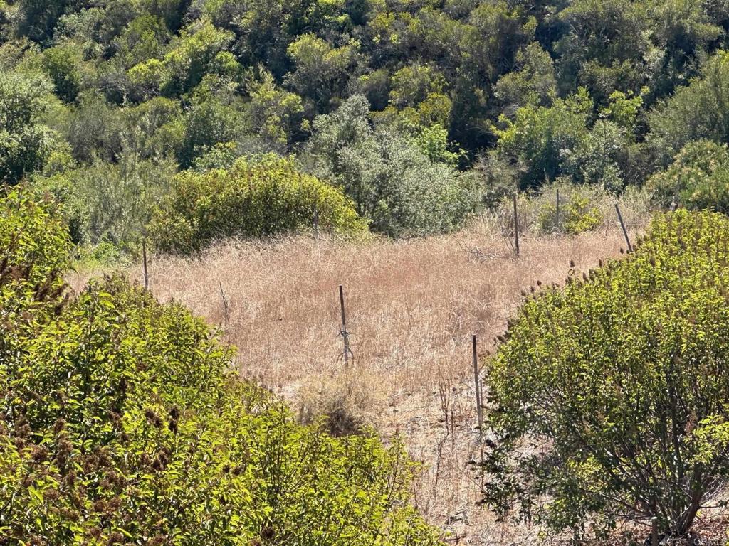 26 029 El Calamar Property Photo 8