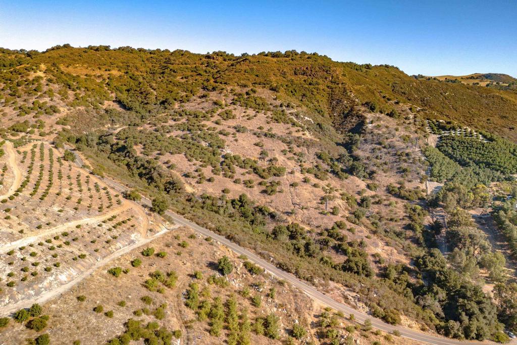 26 029 El Calamar Property Photo 14