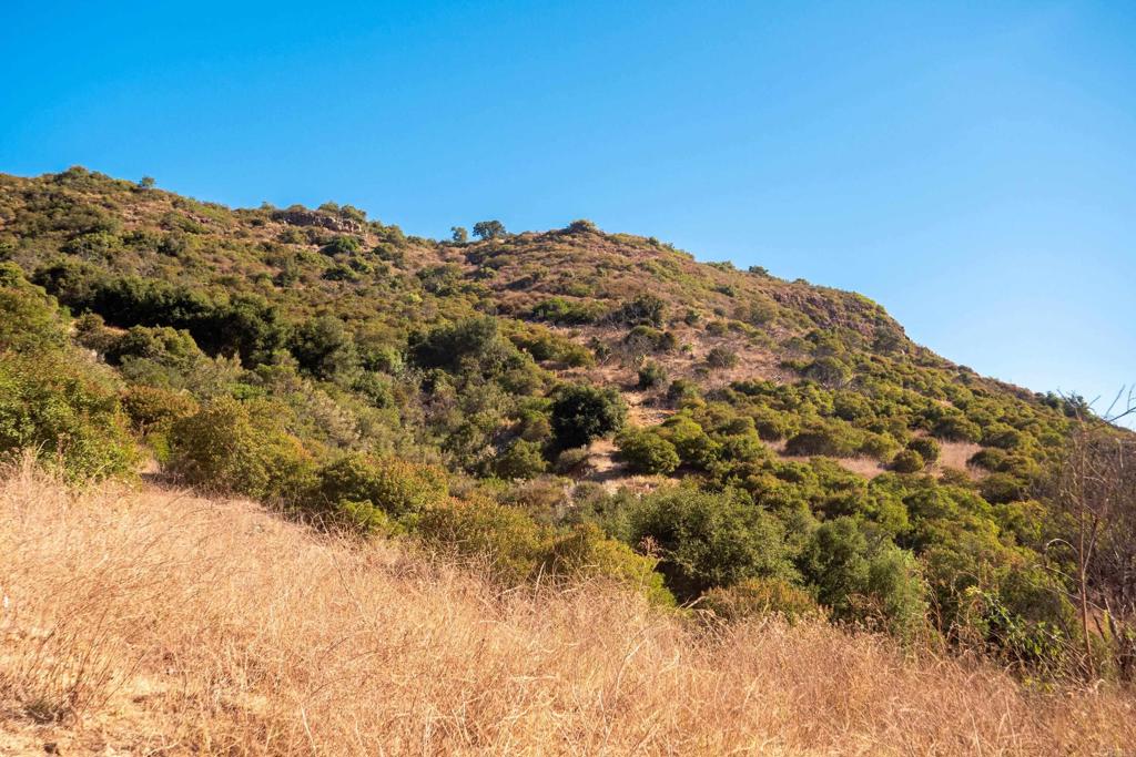 26 029 El Calamar Property Photo 32