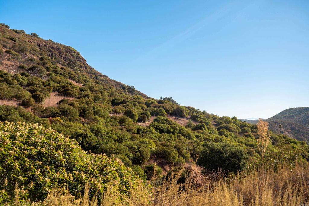 26 029 El Calamar Property Photo 33