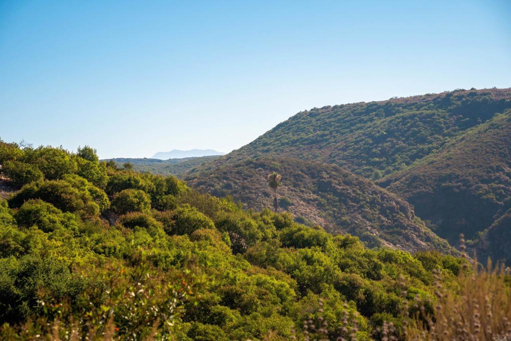 26 029 El Calamar Property Photo 35