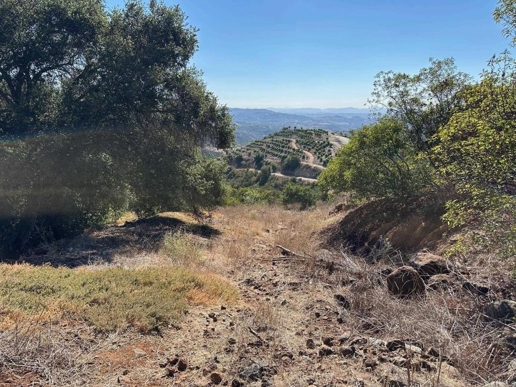 26 029 El Calamar Property Photo 38