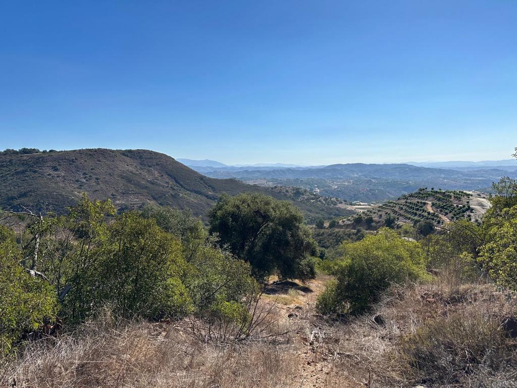 26 029 El Calamar Property Photo 39