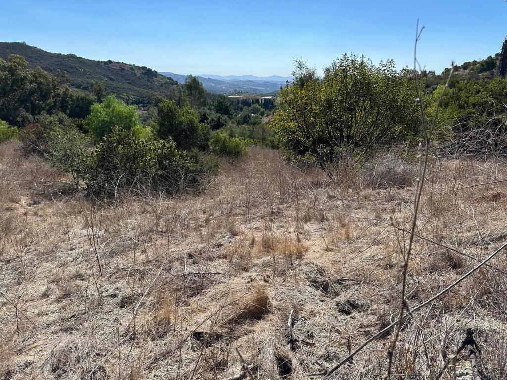 26 029 El Calamar Property Photo 41