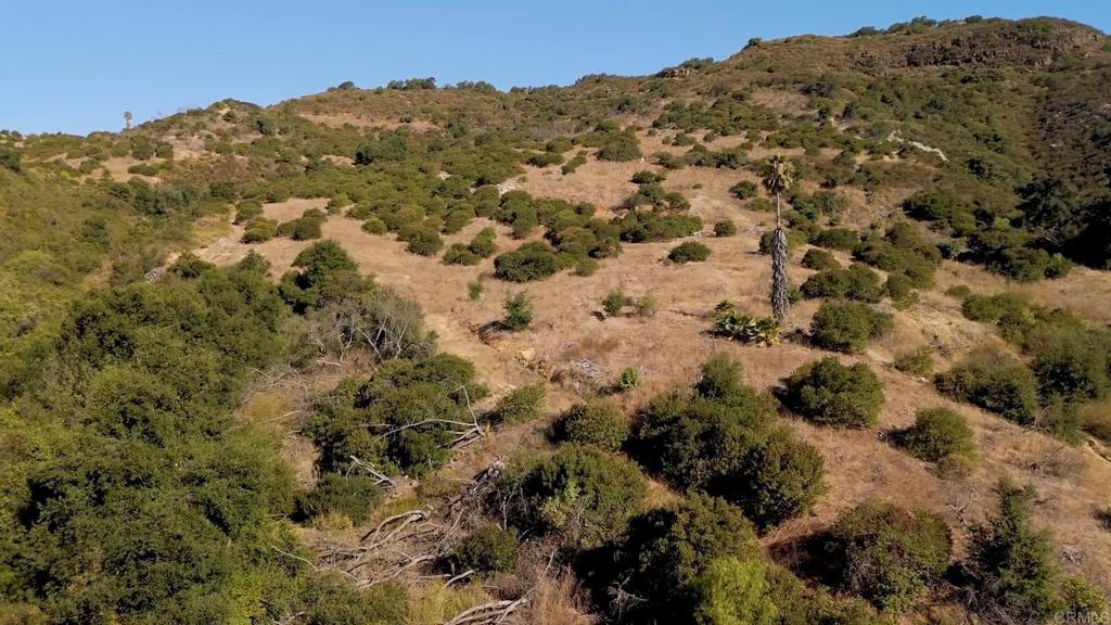 26 029 El Calamar Property Photo 43