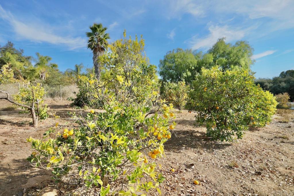 13227 Blueberry Hill Lane Property Photo 47