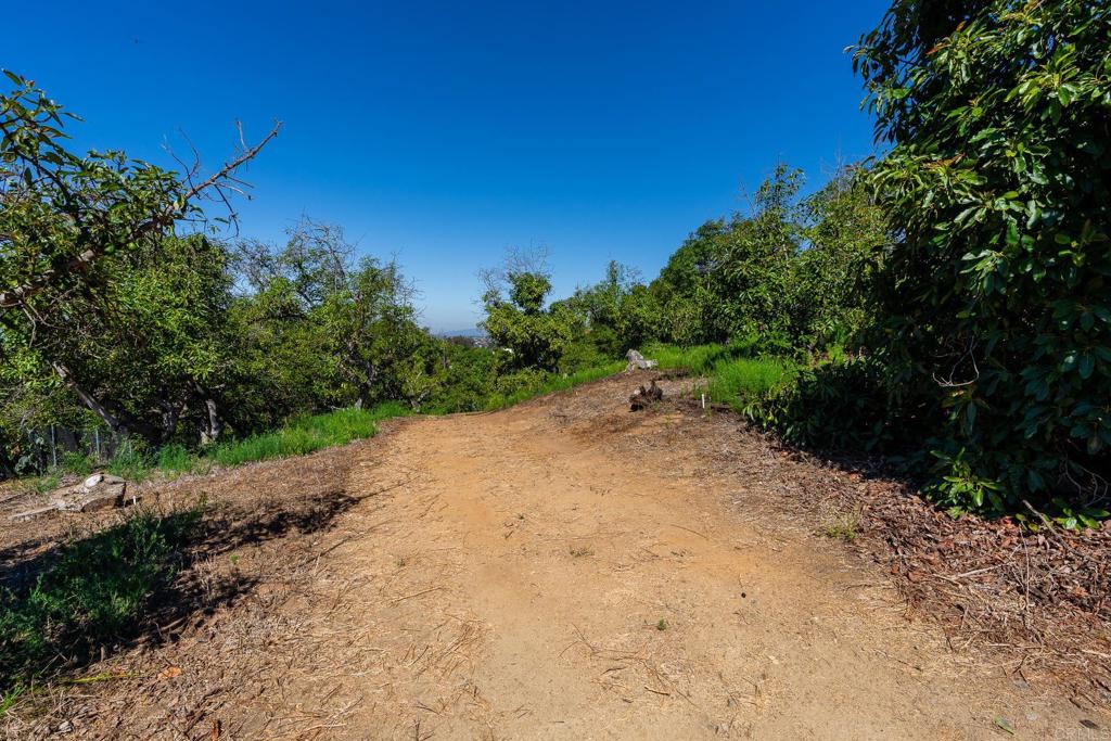 0 Wilt Road Property Photo