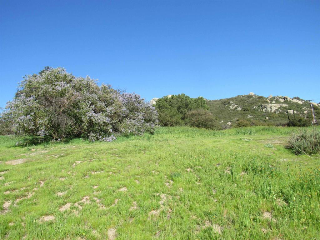 1899 Lake Morena Drive Property Photo 1