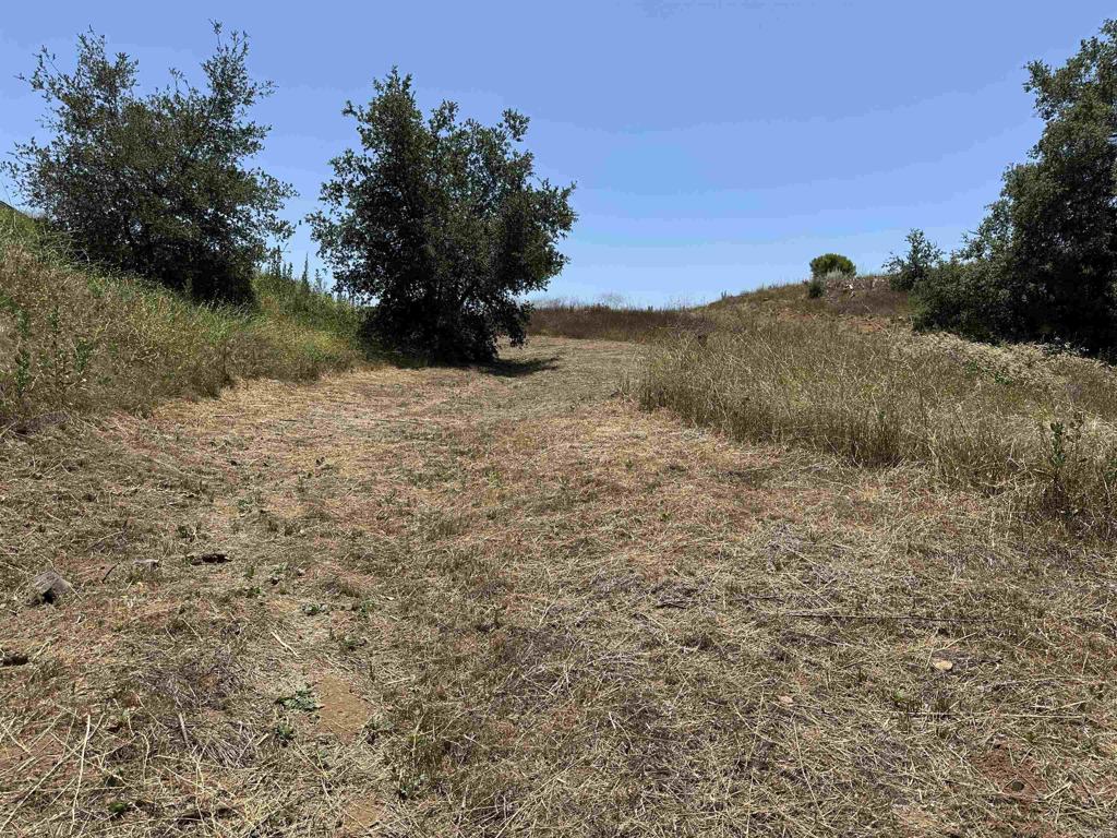 1 Via Tornado Property Photo 3