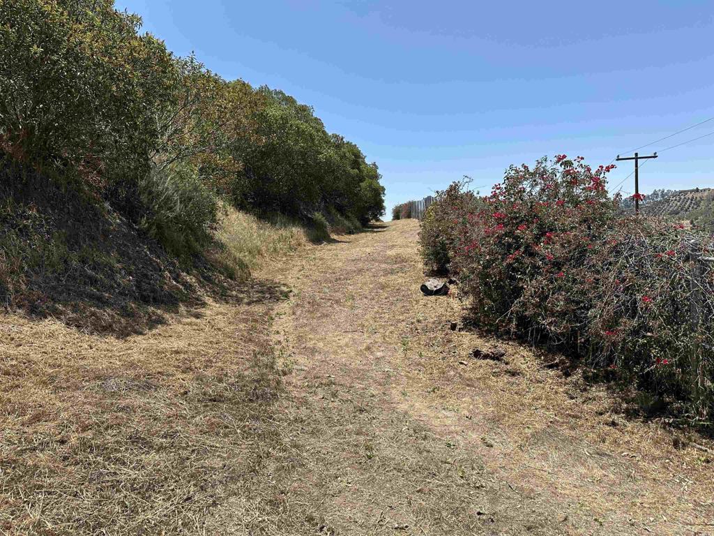 1 Via Tornado Property Photo 38