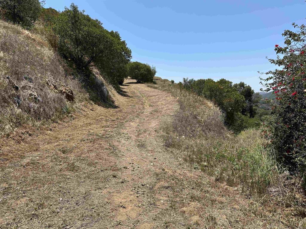 1 Via Tornado Property Photo 39