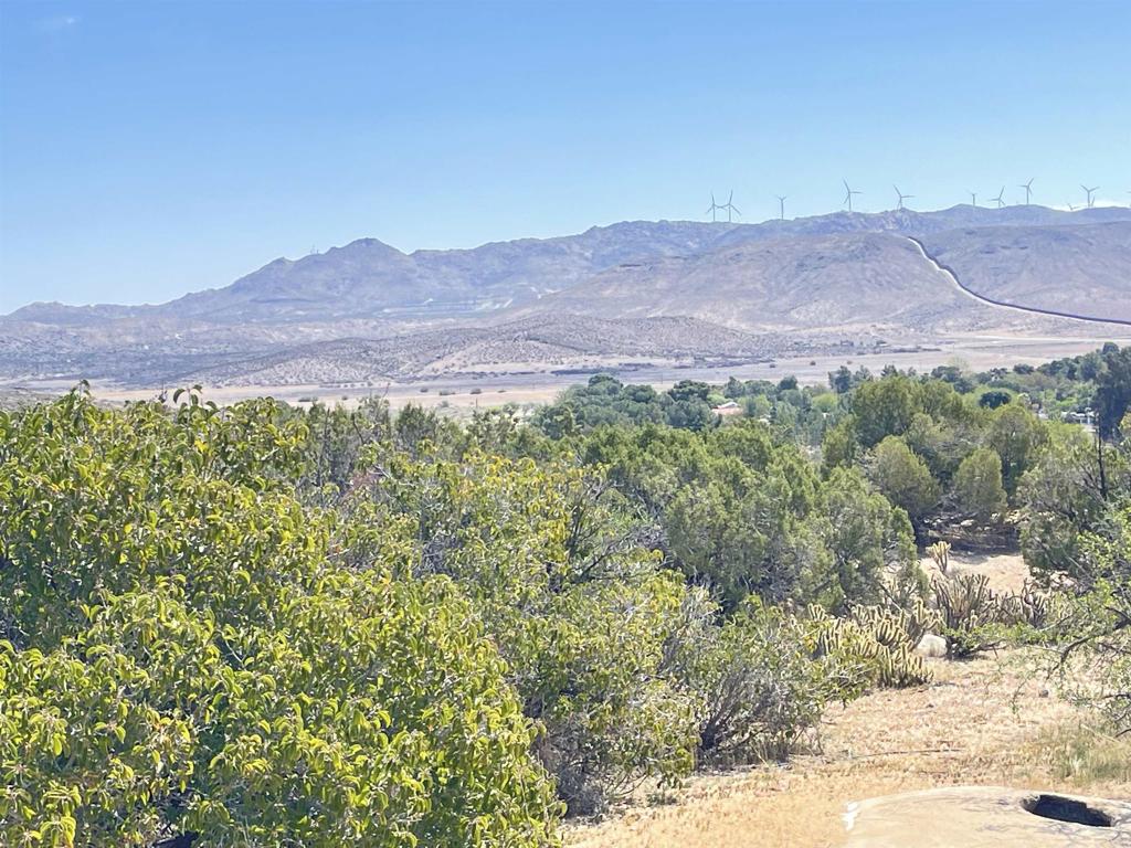 16 .44 Acres Boundary Creek Property Photo 1