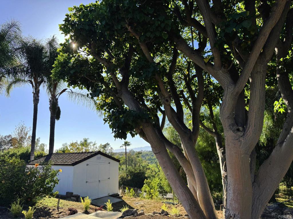 1650 Winterwarm Dr. Property Photo 39