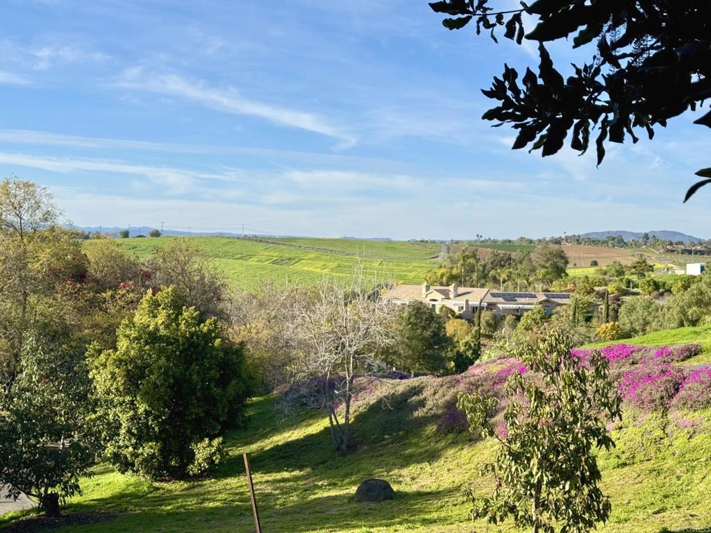 1650 Winterwarm Dr. Property Photo 40