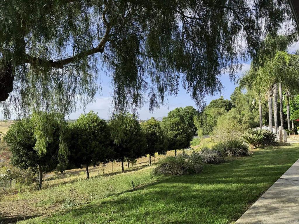 1650 Winterwarm Dr. Property Photo 41