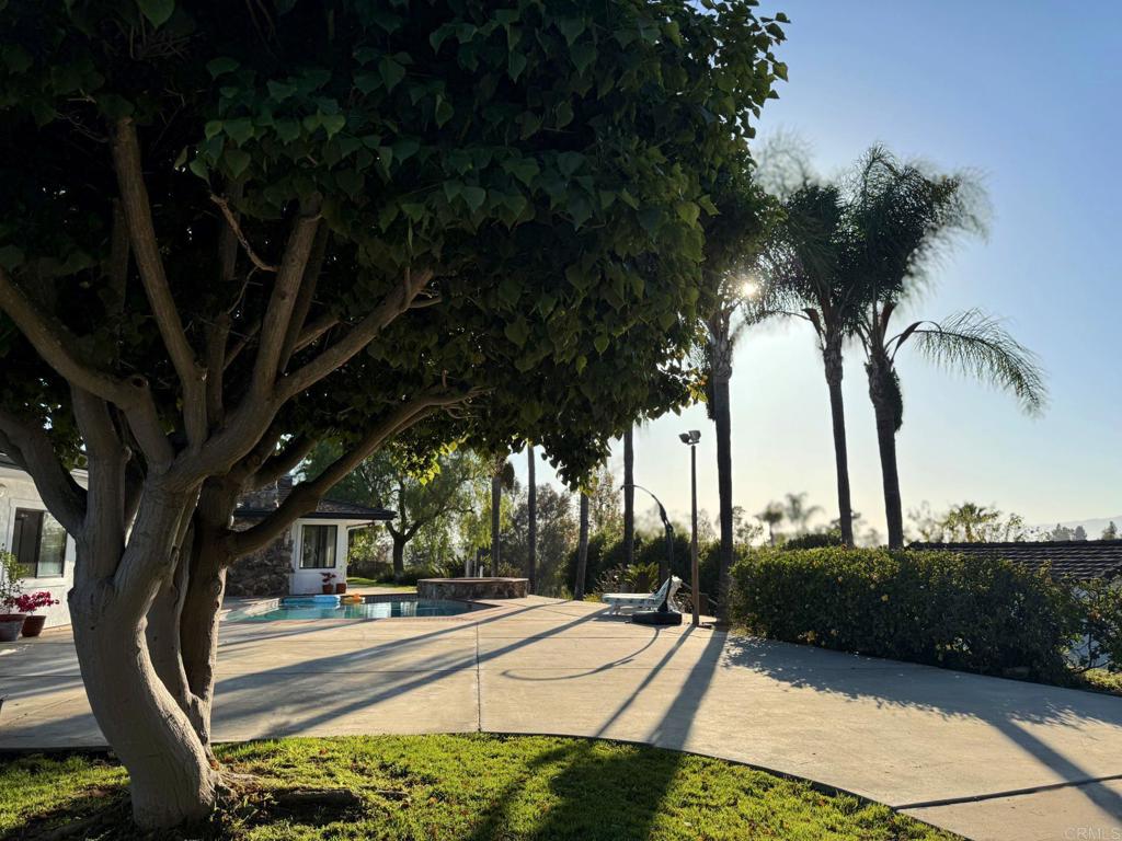 1650 Winterwarm Dr. Property Photo 52