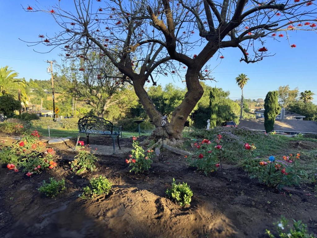 1650 Winterwarm Dr. Property Photo 53