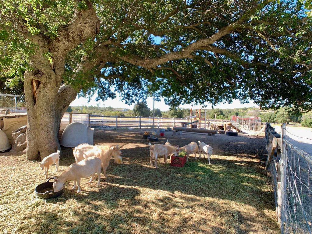 38058 Highway 94 Property Photo 38