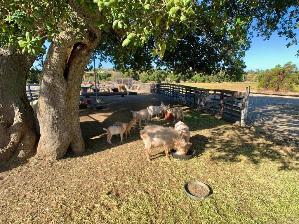 38058 Highway 94 Property Photo 39