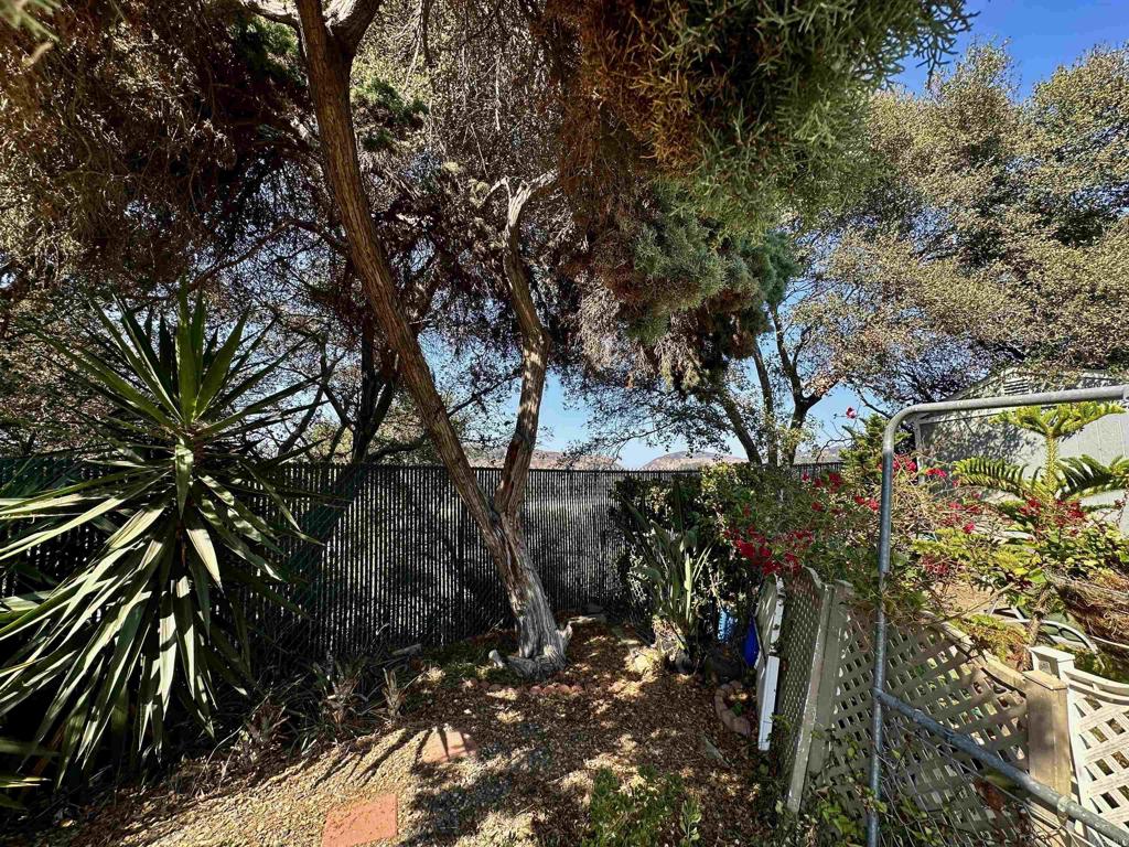 4808 1/2 Old Cliffs Road Property Photo 19