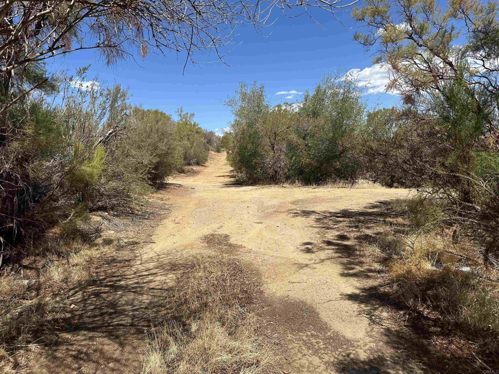 59125 Rimrock Canyon Road Property Photo 2