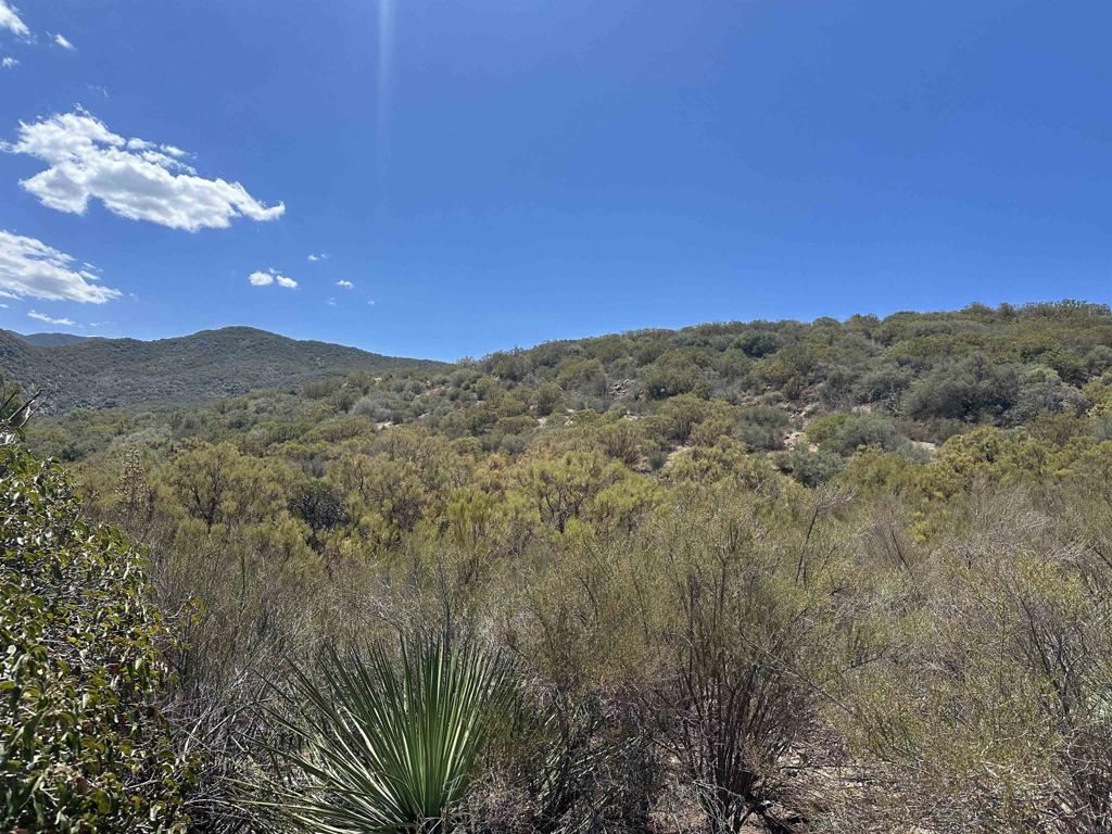 59125 Rimrock Canyon Road Property Photo 4