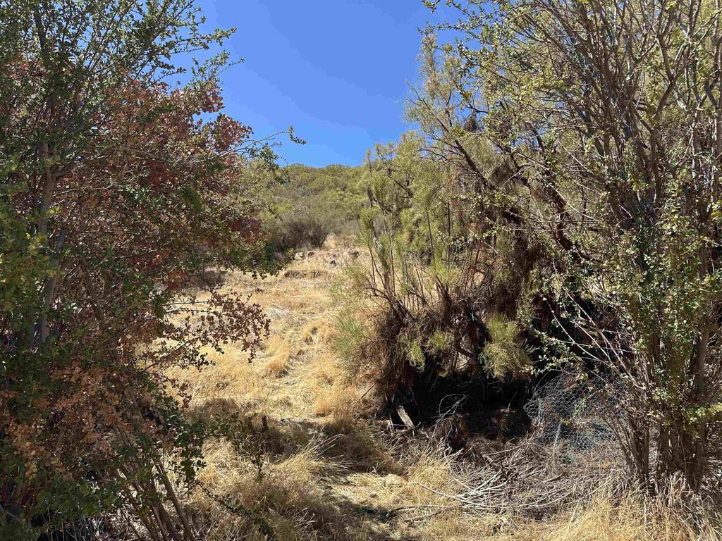 59125 Rimrock Canyon Road Property Photo 8